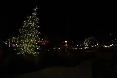 DSC_0019 (Large).JPG